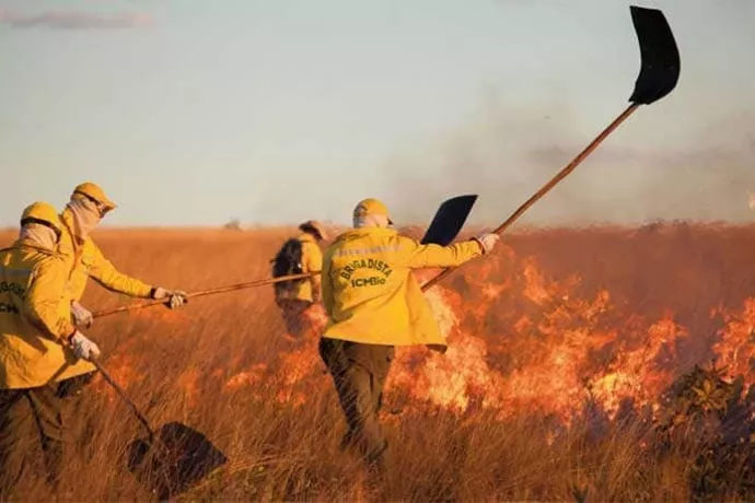 Brand amazone