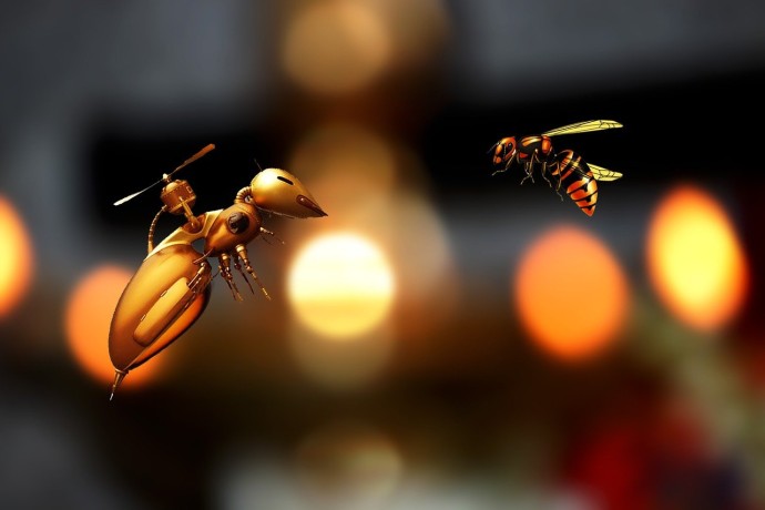 bee bee
