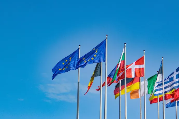 EU flags
